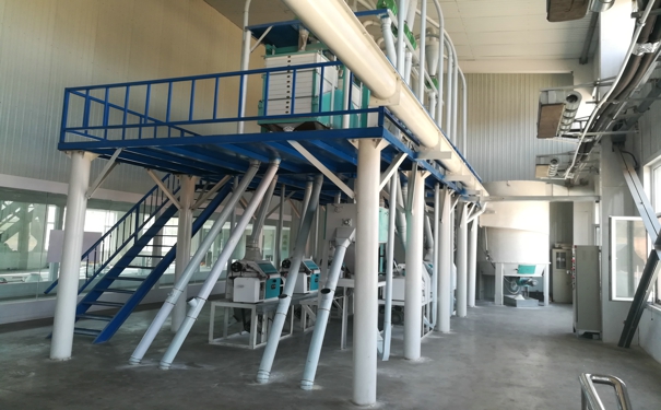 ���׼ӹ��Cе